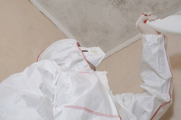 Best Toxic Mold Removal  in Youngsville, NC
